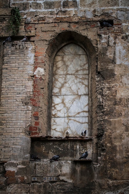 vieille fenêtre gothique, ville espagnole de Valence, architecture méditerranéenne