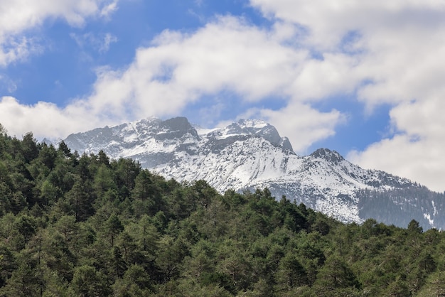 Vieille forêt dense d'épinettes et pics de montagnes alpines couvertes de neige et de glaciers au printemps