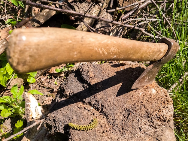 La vieille hache de fer vintage dépasse dans une souche d'une ferme par une journée d'été ensoleillée