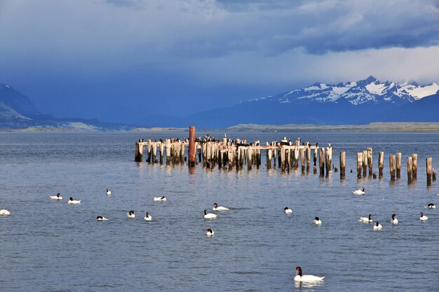 La vieille jetée de Puerto Natales