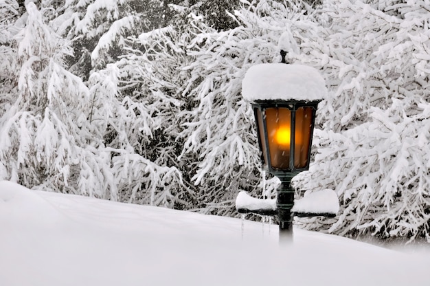 Vieille lanterne couverte de neige dans un jardin