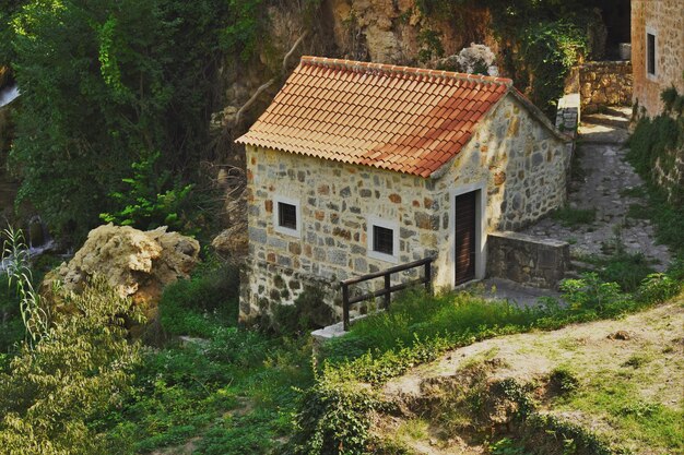 Vieille maison au milieu des arbres et des bâtiments