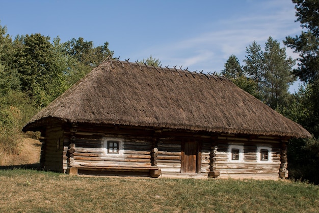 Vieille maison au toit de chaume dans la forêt