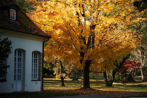 vieille maison en automne