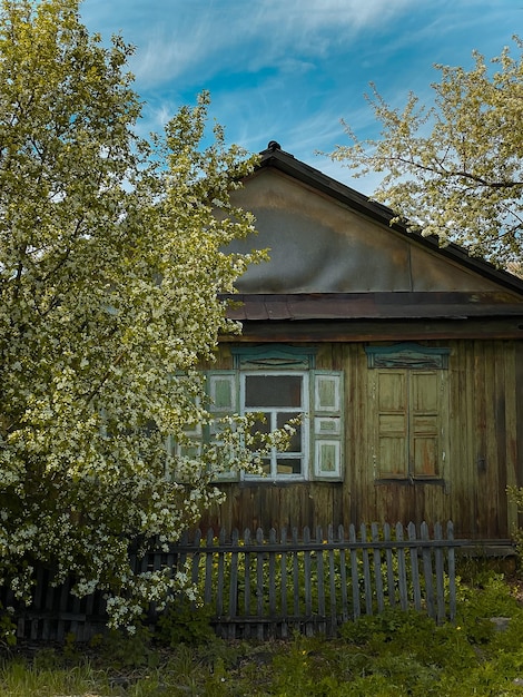 Photo vieille maison en bois dans le village printemps