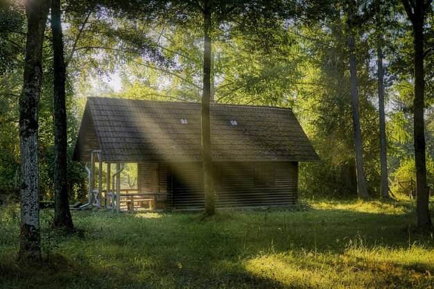 vieille maison dans les bois