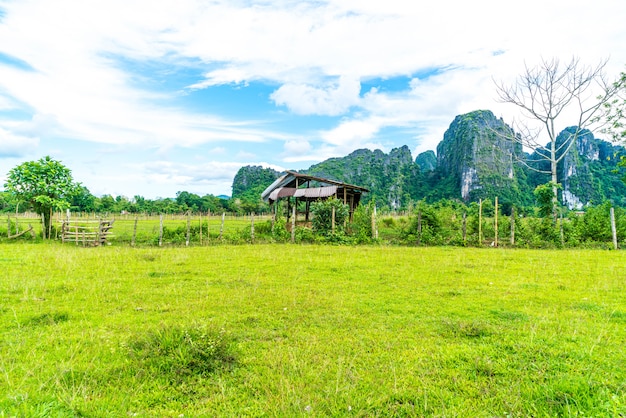 Vieille maison dans les champs à Vang Vieng