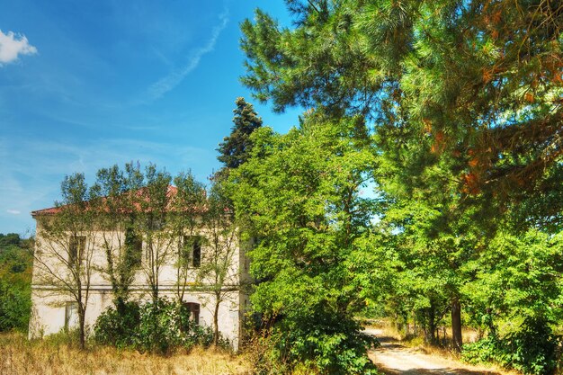 Vieille maison dans la forêt de Burgos Italie