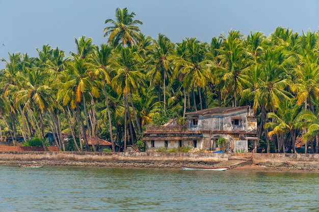 Vieille maison et palmiers sur la côte de Goa Inde