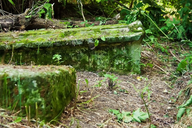 Vieille pierre tombale envahie par la mousse sur le cimetière abandonné