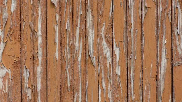 Vieille planche de bois peinte en blanc.