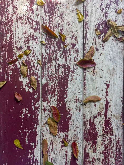 Une vieille planche couverte de feuilles