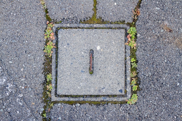 Vieille plaque d&#39;égout en ciment carré