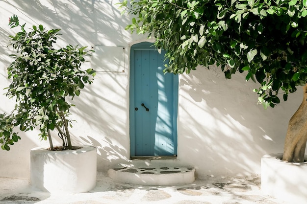 Vieille porte bleue avec des arbres verts sur l'île de Santorin Grèce