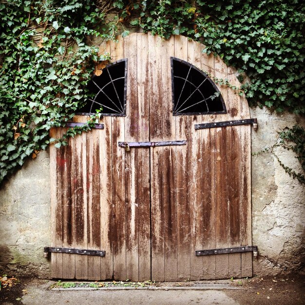 Photo vieille porte en bois