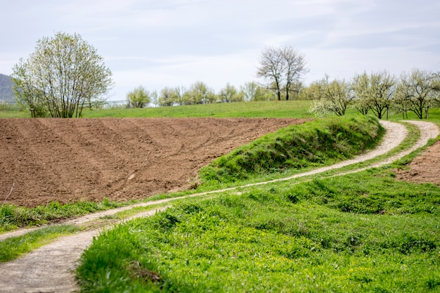 Vieille route dans une campagne