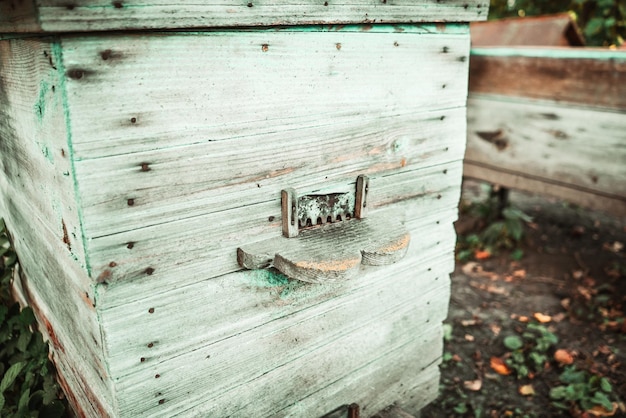 Photo la vieille ruche en bois avec des abeilles se tient dans le rucher 1