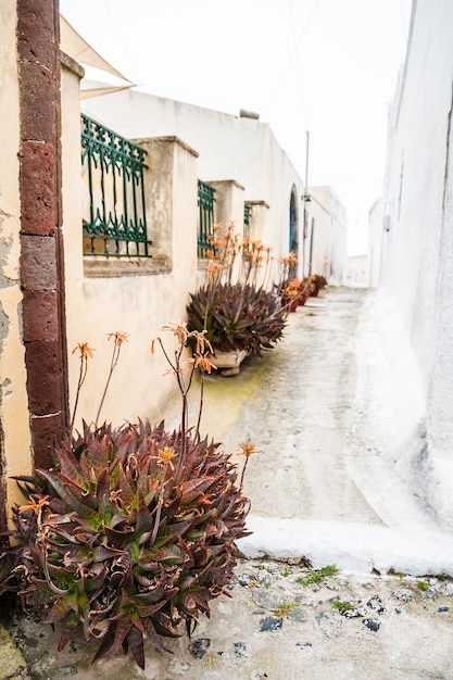 Vieille rue dans le village de Pyrgos sur l'île de Santorin, Grèce