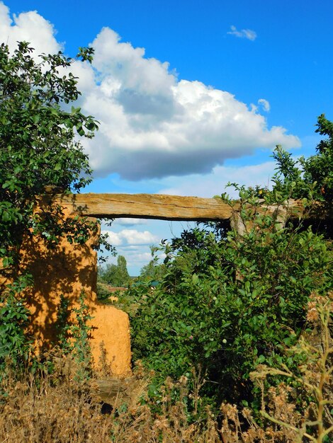 Photo vieille ruine dans un paysage rural