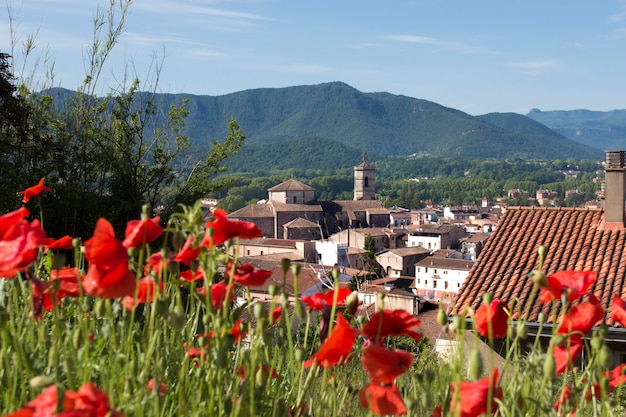 Vieille ville d'Olot et montagnes volcaniques avec des fleurs de pavot en premier plan