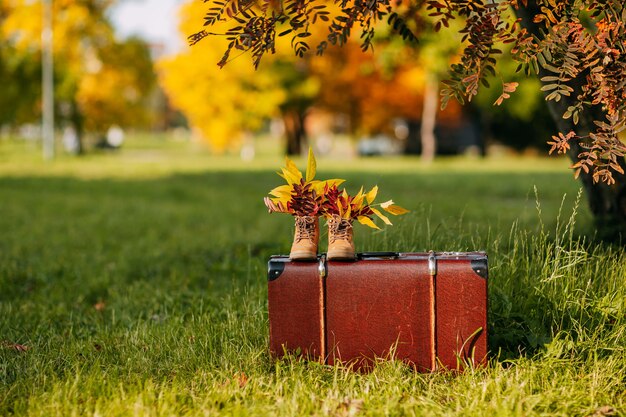 Vieilles bottes marron avec des feuilles à l'intérieur sur une valise vintage marron dans la forêt d'automne