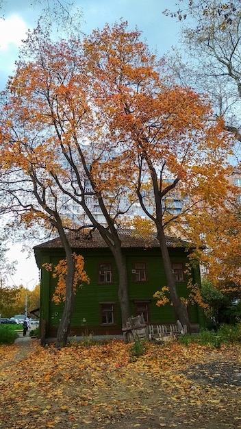 vieilles maisons à Nijni Novgorod