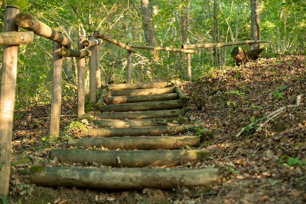 Vieilles marches en bois dans le parc le soir