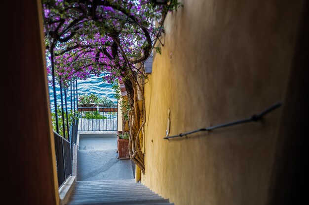 Vieilles rues étroites pierreuses mignonnes avec des maisons de cru dans le village de Positano en Italie du sud