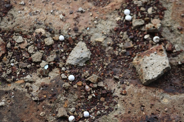 Sur Les Vieilles Tuiles Au Sol Poussière De Rouille Et Balles D'airsoft En Plastique Blanc