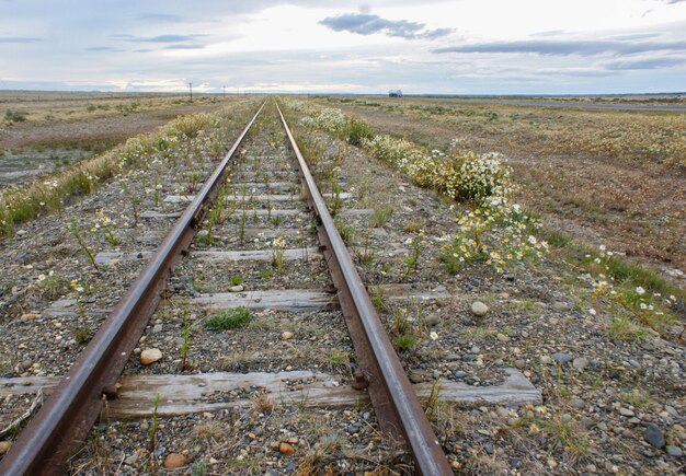 Photo vieilles voies de train en patagonie