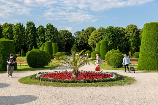 Vienne Autriche 15 juin 2023 Lit de fleurs sur l'allée du parc du palais de Schoenbrunn