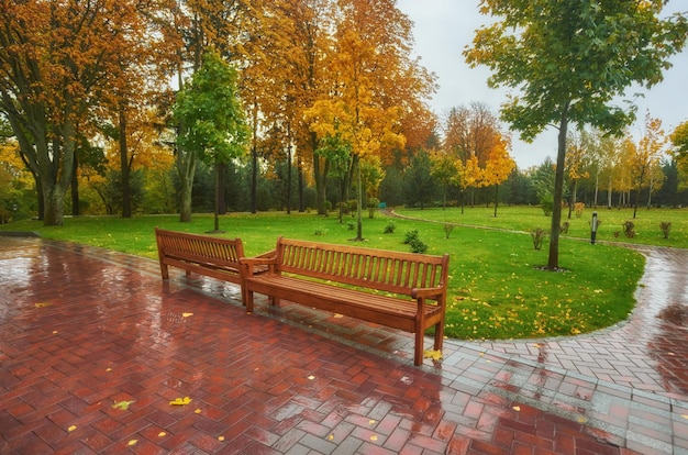 Vieux banc en bois dans le parc de la ville