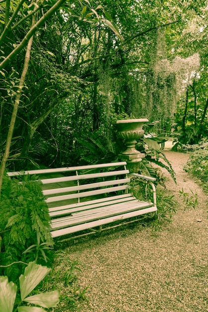 Vieux banc dans le parc