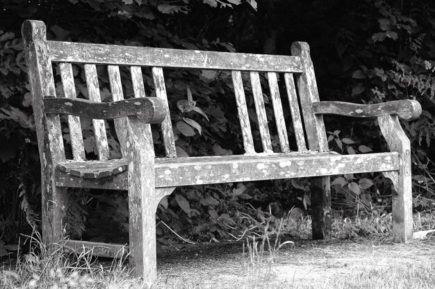 Photo vieux banc sur le terrain contre les plantes