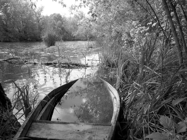 Vieux bateau en bois cassé pour nager sur les rives de l'eau dans les roseaux naturels