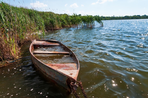 Vieux bateau inondé dans les roseaux