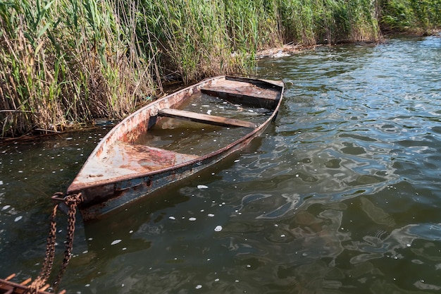 Vieux bateau inondé dans les roseaux