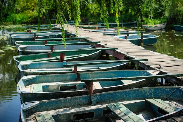 Vieux bateaux d'amarrage sur le lac d'été