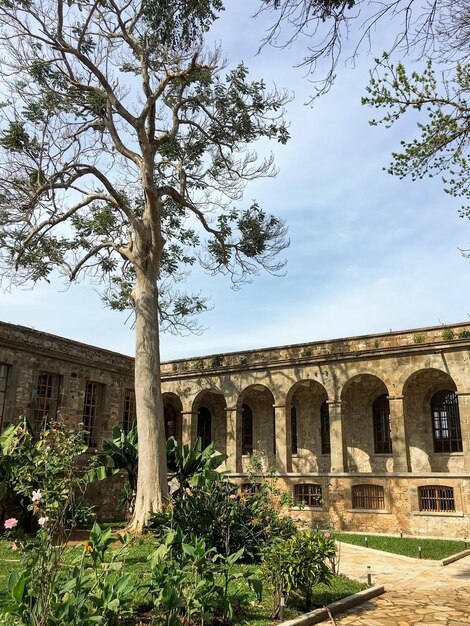 Vieux bâtiment abandonné, la nature repousse la brique