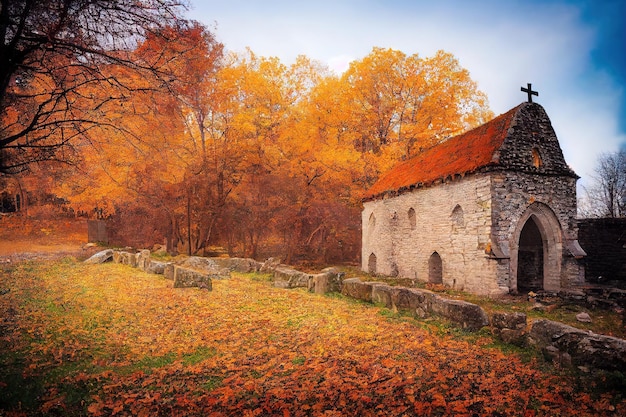 Vieux bâtiment de maison avec le beau fond de nature d'automne