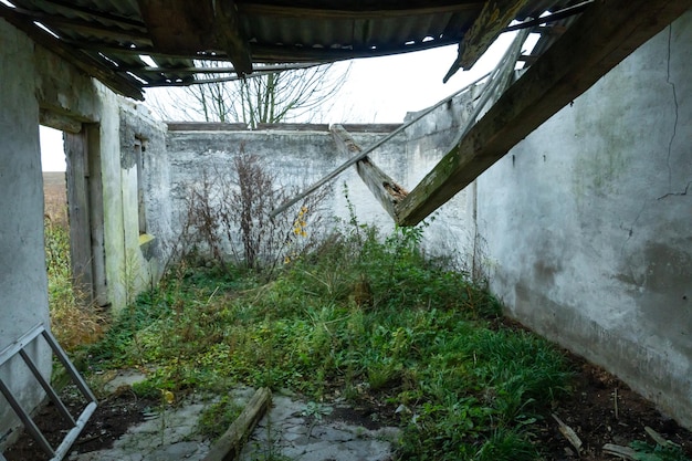 Un vieux bâtiment en ruine sans fenêtres ni portes au milieu du champ Paysage utopique d'automne Le toit s'est effondré et envahi par la mousse