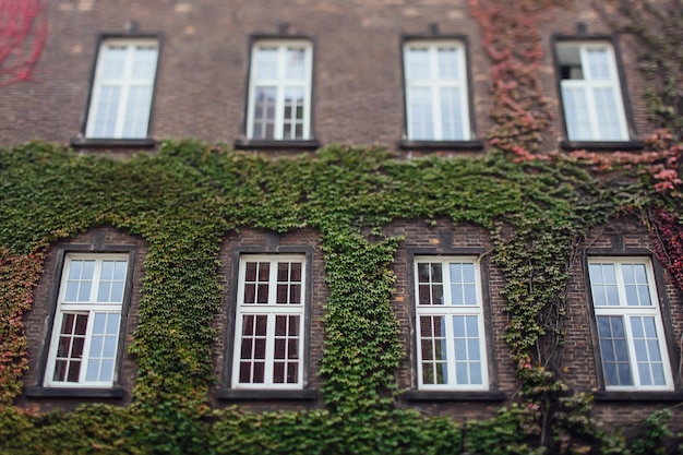 Vieux bâtiments en briques du centre-ville petite ville vintage windows antique
