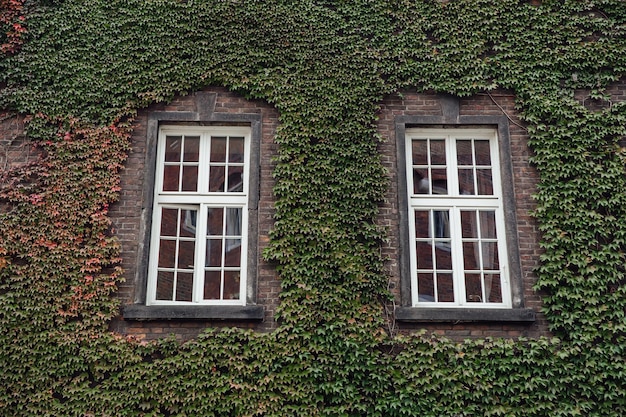 Vieux bâtiments en briques du centre-ville petite ville vintage windows antique