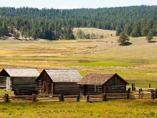 Vieux bâtiments de ferme sur Florissant National Monument dans le centre du Colorado.