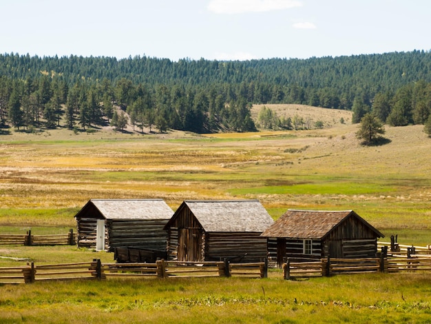 Vieux bâtiments de ferme sur Florissant National Monument dans le centre du Colorado.