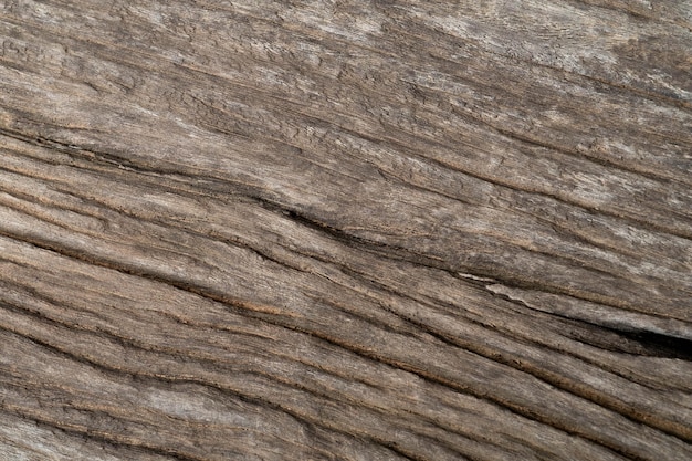 Vieux bois montrant la macro de modèle de texture