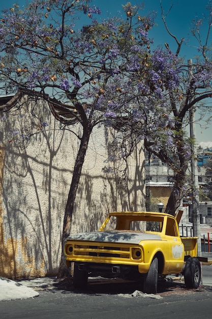 Vieux camion jaune sous un arbre en fleurs dans la rue de Mexico