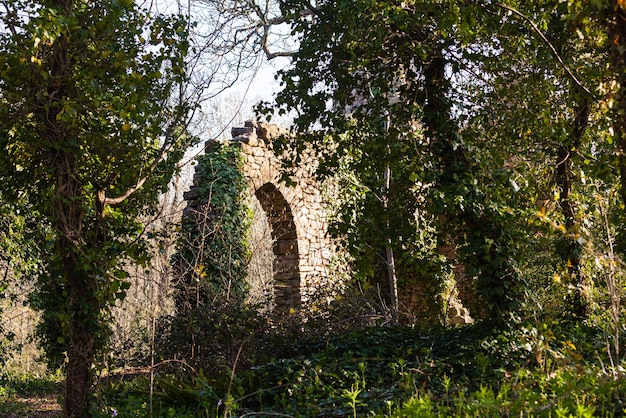 Vieux château en ruine dans les bois