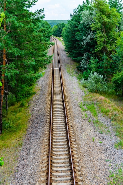 Vieux chemin de fer dans la forêt en été