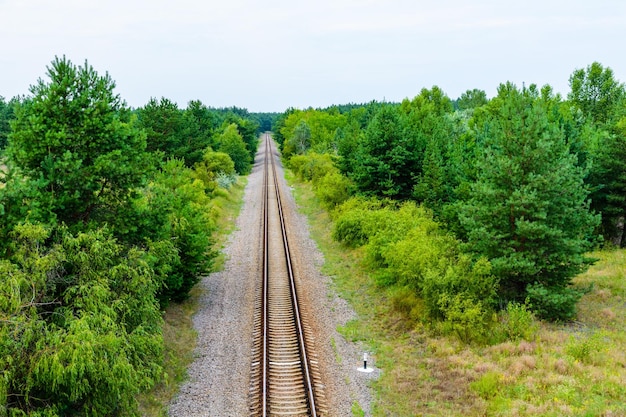 Vieux chemin de fer en forêt en été